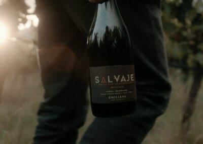 Emiliana Salvaje Storytelling