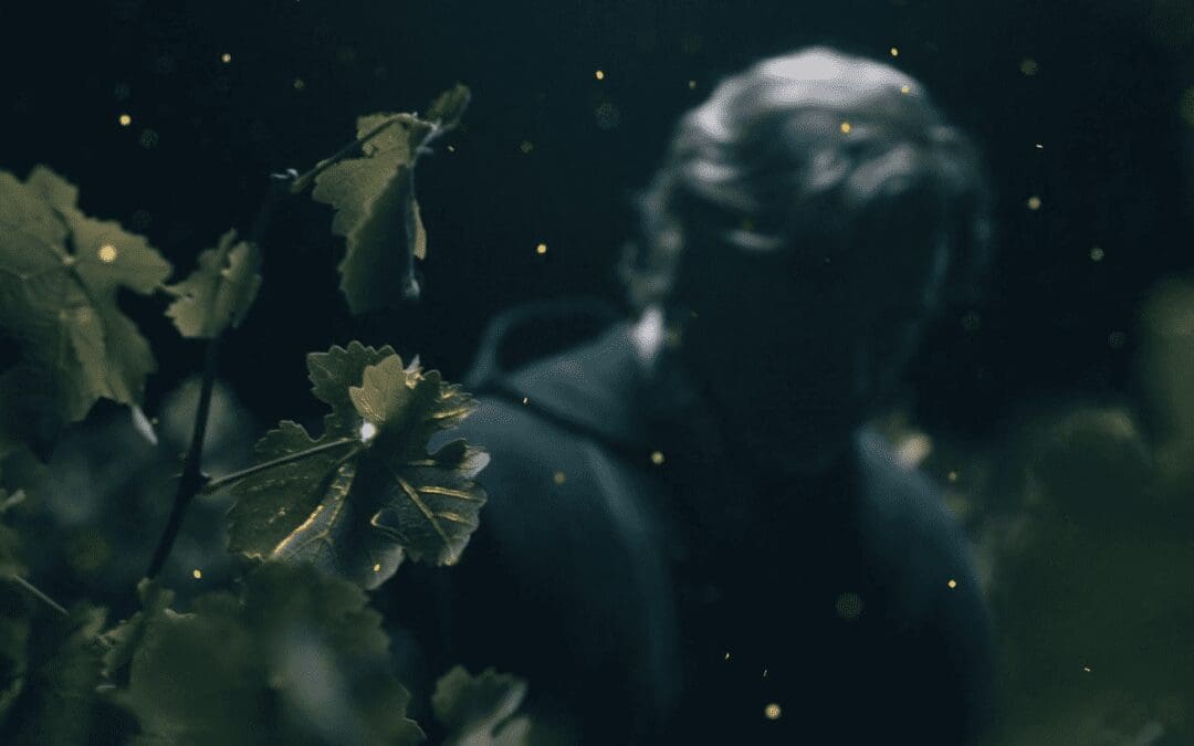 Cosecha Nocturna en VIK