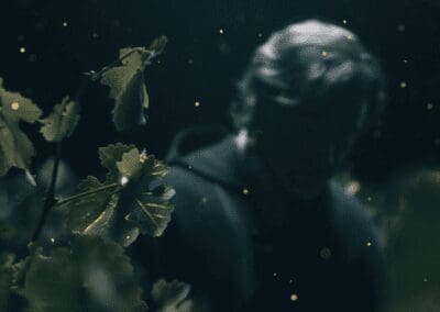 Cosecha Nocturna en VIK