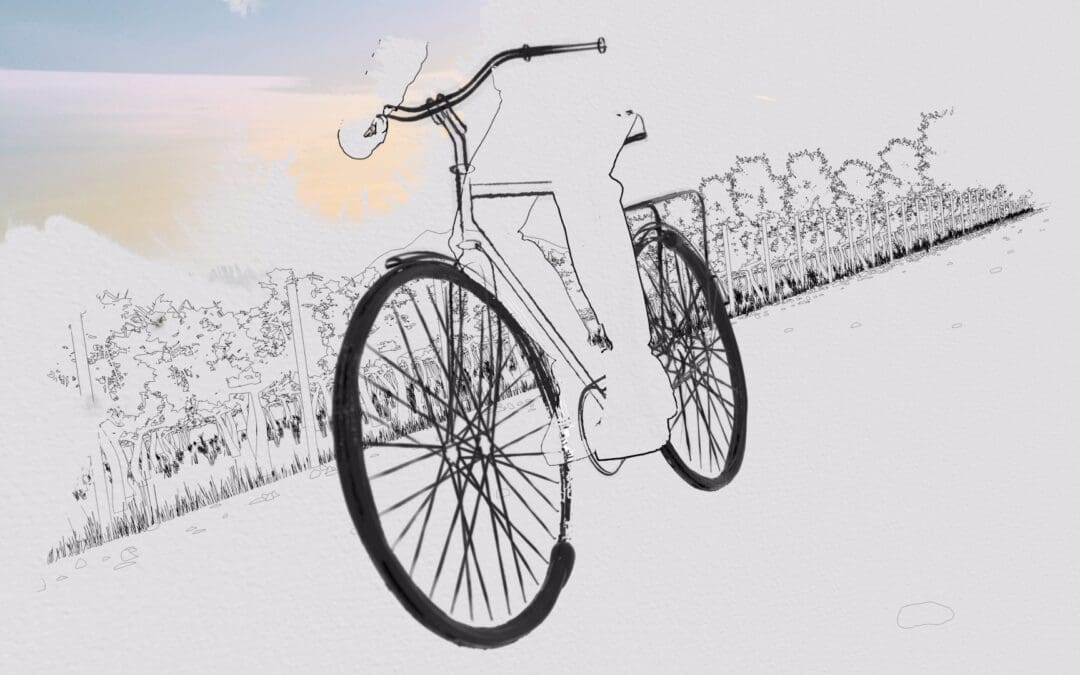 Follow Your Road 2022