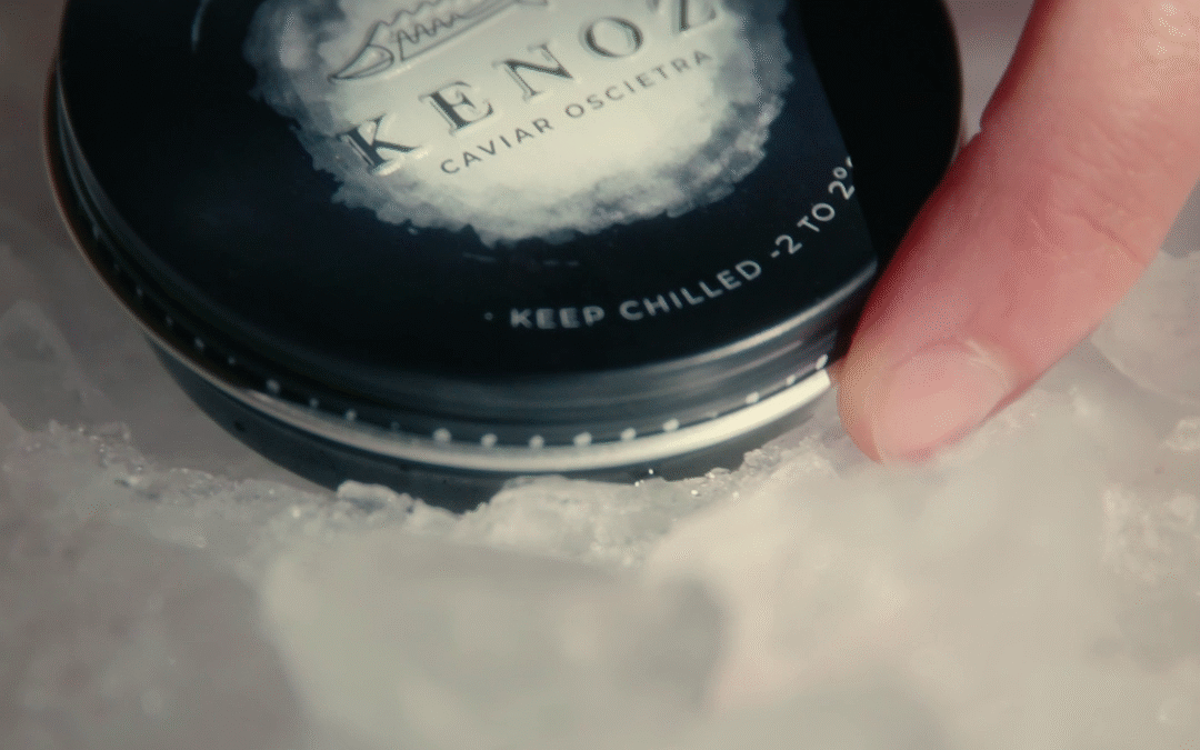 DON MELCHOR – EXPERIENCIA KENOZ